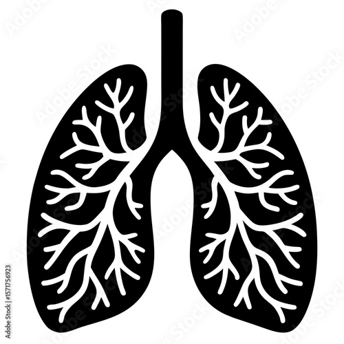 Alveoli (lung structure) diagram on white background