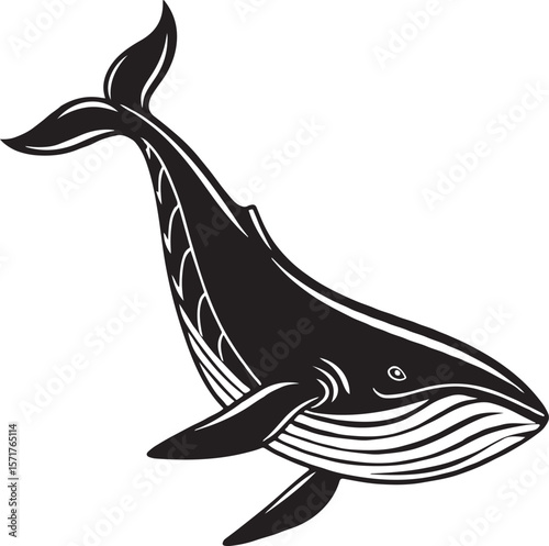 Black and white vector illustration of a majestic humpback whale against a white background