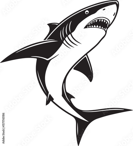 Bold black and white shark illustration depicting aggression and marine wildlife