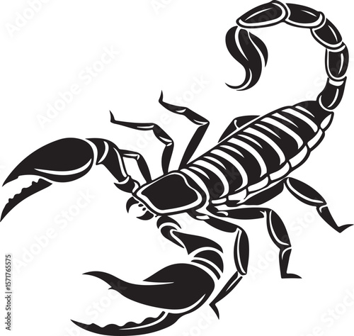 Intricate black and white vector illustration of a detailed scorpion on a white background