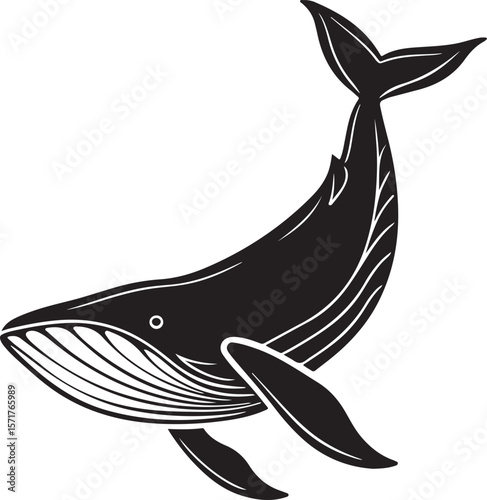 Simple and elegant black and white illustration of a majestic whale swimming gracefully