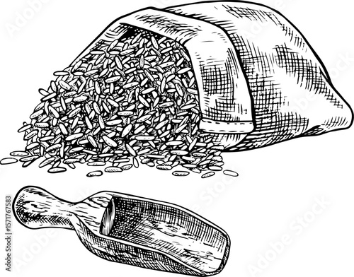 A linen bag of rice or oats, wheat or rye with a wooden scoop. Black and white graphics, vector illustrations. Design element for menus, recipes, and cookbooks. For packaging, labels, and more