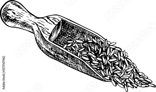 A wooden spatula filled with rice, wheat, oats, or rye. A black and white vector illustration. Design element for menus, recipes, and cookbooks, for banners, flyers, packaging, labels, and more.