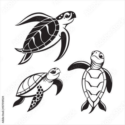 turtle sea icon vector art