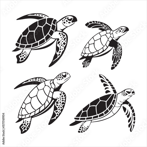 turtle sea icon vector art