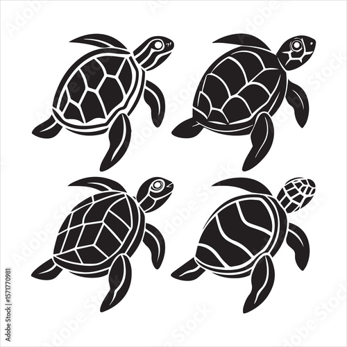 turtle sea icon vector art