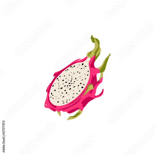 Pitaya cross section, half of ripe exotic asian dragon fruit. Flat vector cartoon illustration isolated on white background.