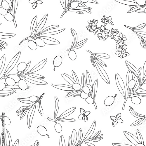 Seamless pattern drawing olive oil fruits branch vector. Hand painted floral illustration olives fruit tree branches leaves background. Drawings food. Edible foliage. For fabric wrapping decor menu