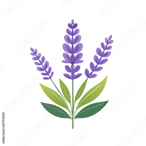 Lavender Flower Icon Isolat...