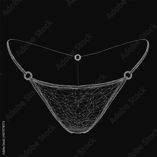 A wireframe bikini design showcases the female form with clean geometric lines. The minimalist structure highlights panties and top contours. Digital illustration features precise vector shapes.