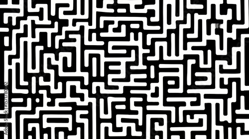 Maze is shown in black and white. The maze is very intricate and has many twists and turns. The maze is so complex that it is difficult to determine where the end is