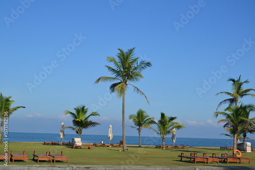plusieurs palmiers au bord d'une plage de Trincomalée, parasol blanc, au Sri Lanka