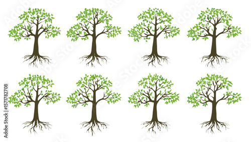 Nature's chorus: a symphony of trees standing tall in perfect harmony and balance