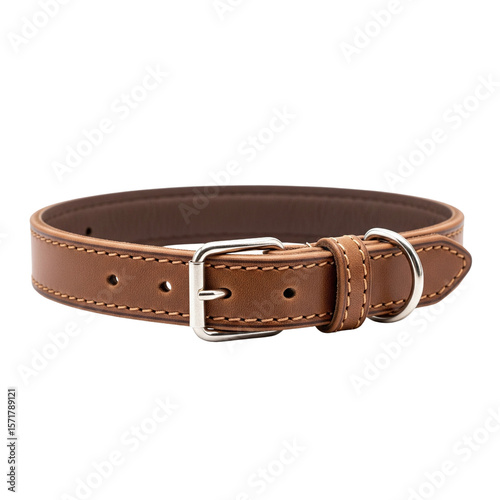 Fotografie Brown leather dog collar with metal buckle