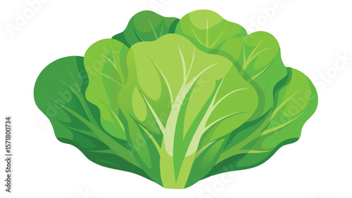 Simple vector illustration of a salad