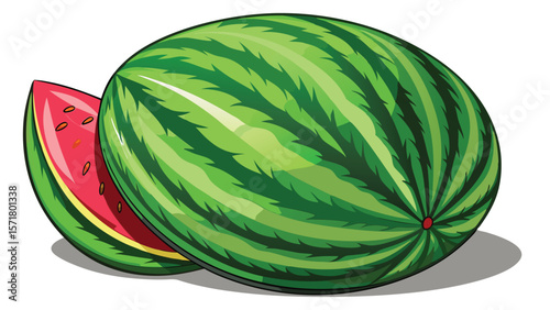 Watermelon on white background vector illustration.