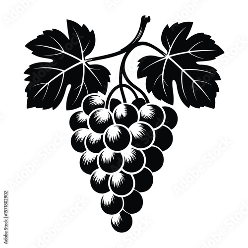 Black silhouette of grapes with leaves on white background
