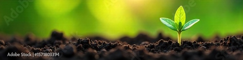 Vibrant Green Sprouts Emerging from Soil A Symbol of Growth, Renewal, and Sustainable Energy