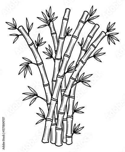 Black and White Line Art Illustration of Bamboo Stalks with Leaves