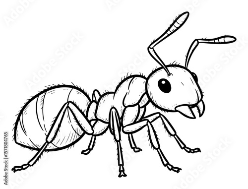 Ant Cartoon in Black and White Line Art