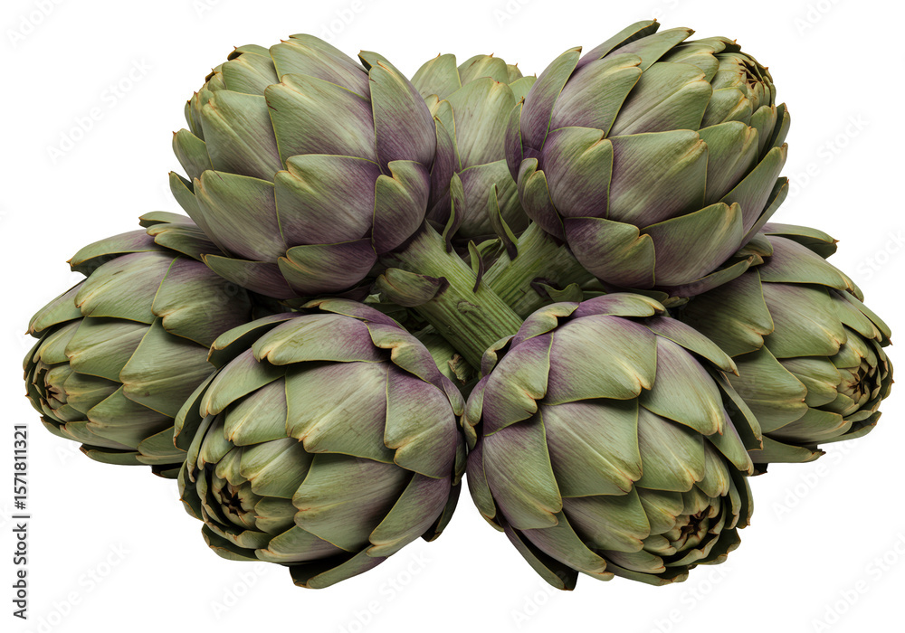 Obraz premium Fresh green & purple artichokes, whole bouquet transparent PNG, top view for healthy food
