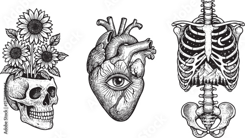 Mystical Anatomy: Bloom, Vision, and Structure