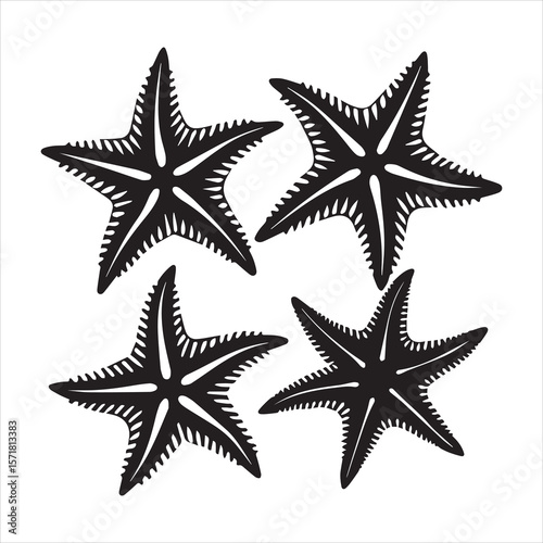 brittle star silhouette vector