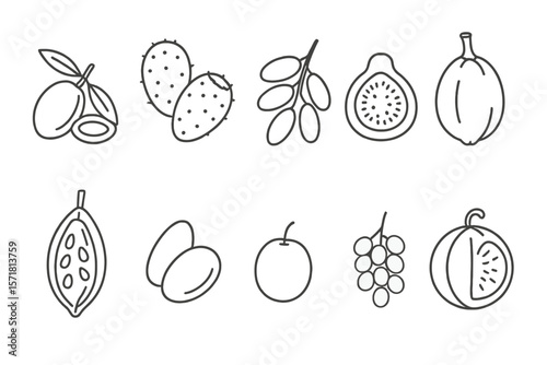 Exotic fruits outline icon set. unique fruit icons collection in linear style