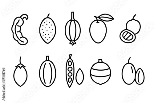 Exotic fruit outline icon set. tropical, caribbean fruits, linear icons collection