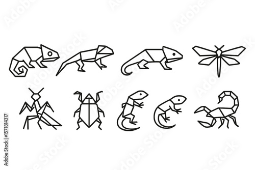 Insect and reptile outline icon set. geometric animal icons for nature projects