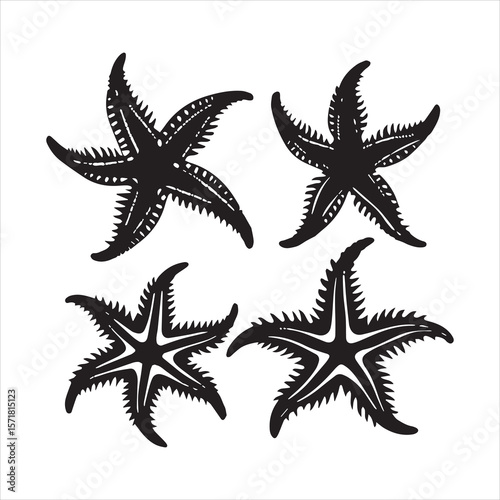 brittle star silhouette vector