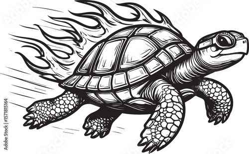Unleashed Velocity: Fire-Powered Turtle Sprint