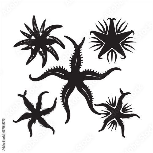 brittle star silhouette vector