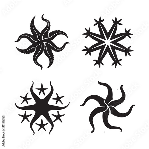 brittle star silhouette vector