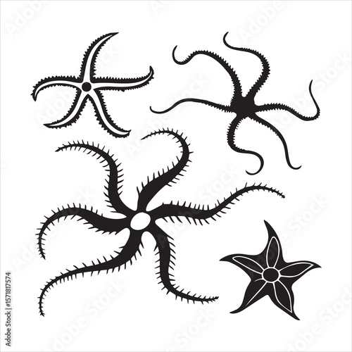 brittle star silhouette vector