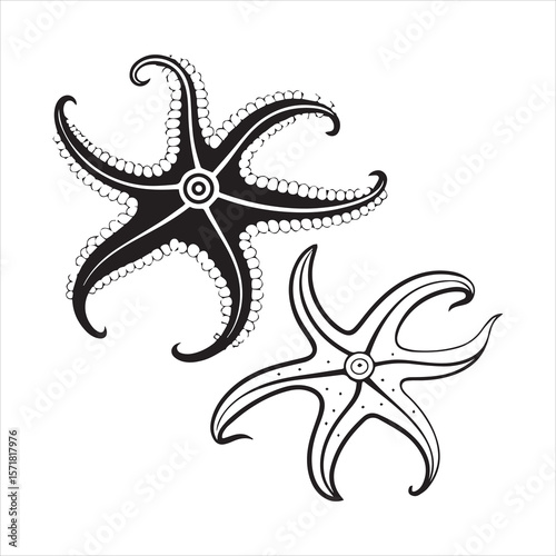 brittle star silhouette vector