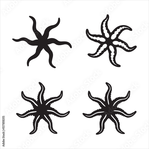 brittle star silhouette vector
