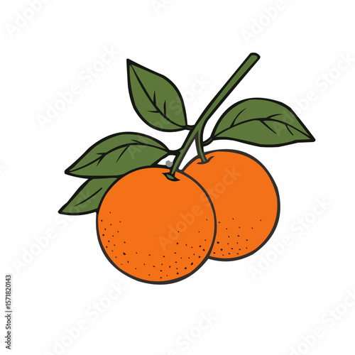 Two oranges with green leaves isolated on transparent background