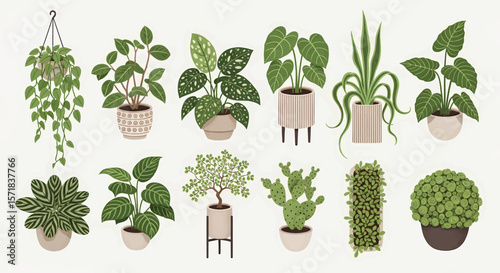 Overhead Potted Plant Collection: A Clean Illustrative Display of 12 Diverse Plants with Cascading Vines, Speckled Leaves, Cacti, and Tree-like Forms

