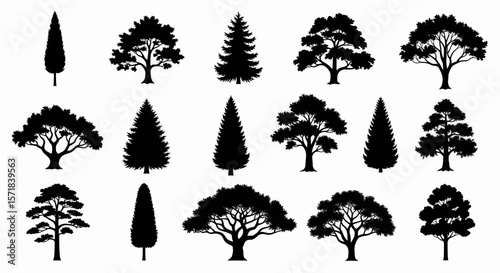 20 Distinct Black Tree Silhouettes: A Clean Illustrative Collection of Tall, Slender, Bushy, Conifer, Rounded, and Irregular Canopy Shapes
