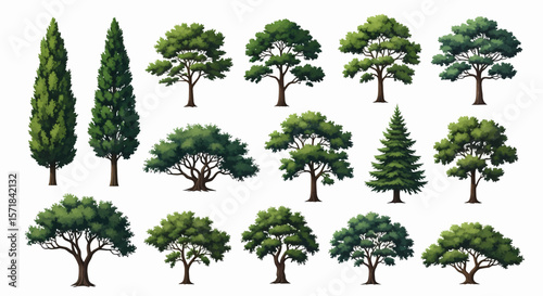 20 Distinct Black Tree Silhouettes: A Clean Illustrative Collection of Tall, Slender, Bushy, Conifer, and Rounded Canopy Shapes
