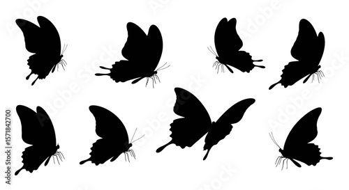 Elegant butterfly silhouette set gracefully displayed on pristine white background