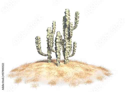 cactus on small dune and dry grass