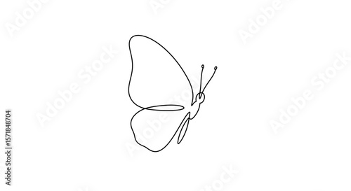 Elegant butterfly illustration created with a single continuous line drawing style