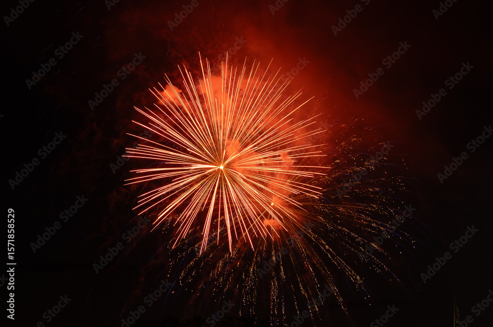fireworks in the night sky fireworks in the night sky