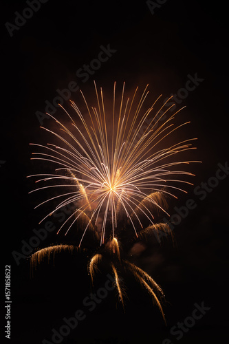 fireworks in the sky