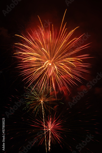 fireworks in the night sky