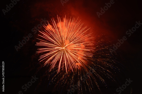 fireworks in the night sky