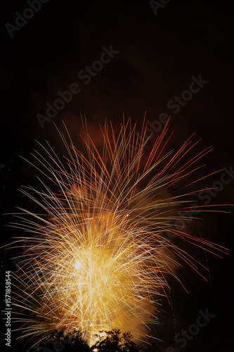 fireworks in the sky