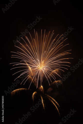 fireworks in the sky